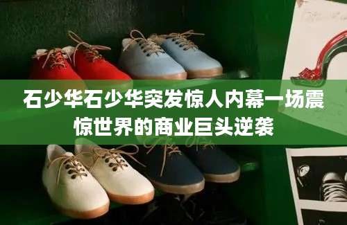 石少华石少华突发惊人内幕一场震惊世界的商业巨头逆袭