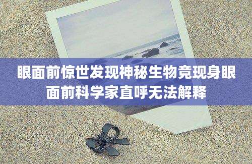眼面前惊世发现神秘生物竟现身眼面前科学家直呼无法解释