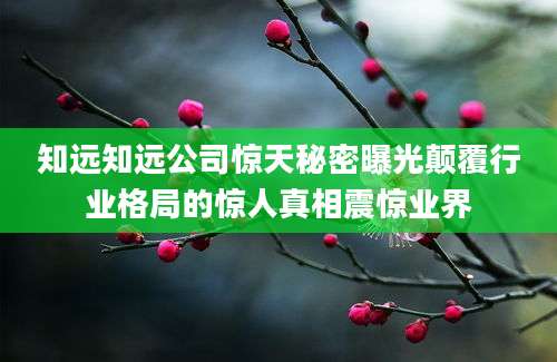 知远知远公司惊天秘密曝光颠覆行业格局的惊人真相震惊业界