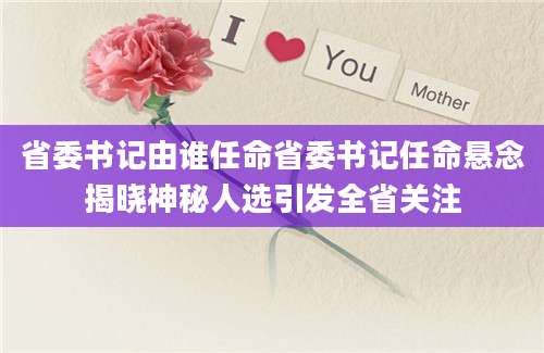 省委书记由谁任命省委书记任命悬念揭晓神秘人选引发全省关注