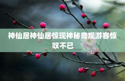神仙居神仙居惊现神秘奇观游客惊叹不已