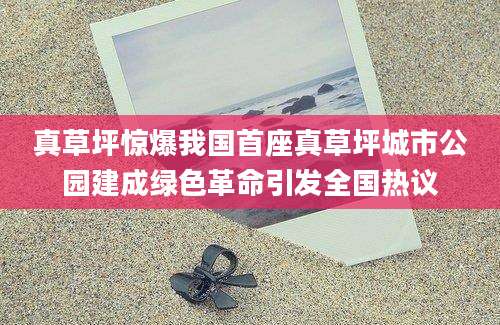 真草坪惊爆我国首座真草坪城市公园建成绿色革命引发全国热议