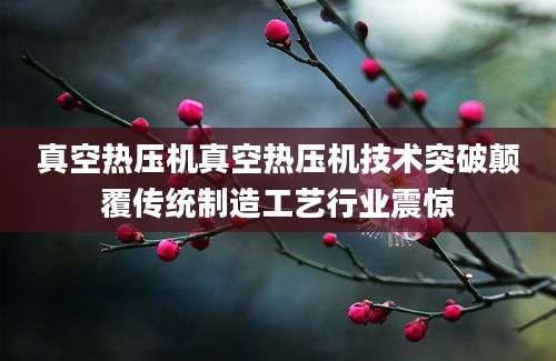 真空热压机真空热压机技术突破颠覆传统制造工艺行业震惊
