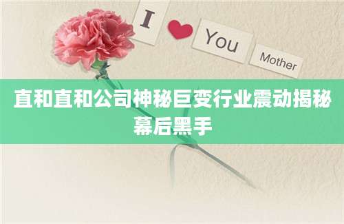 直和直和公司神秘巨变行业震动揭秘幕后黑手