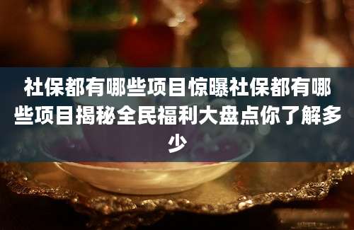 社保都有哪些项目惊曝社保都有哪些项目揭秘全民福利大盘点你了解多少