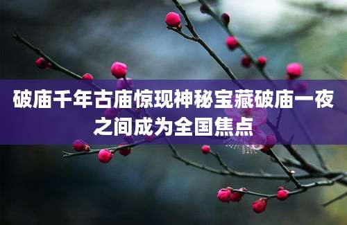 破庙千年古庙惊现神秘宝藏破庙一夜之间成为全国焦点