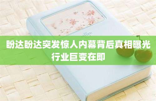 盼达盼达突发惊人内幕背后真相曝光行业巨变在即