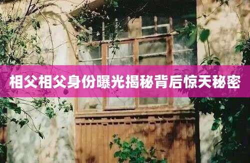 相父相父身份曝光揭秘背后惊天秘密