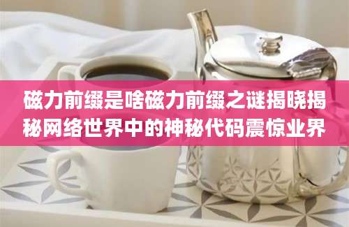 磁力前缀是啥磁力前缀之谜揭晓揭秘网络世界中的神秘代码震惊业界
