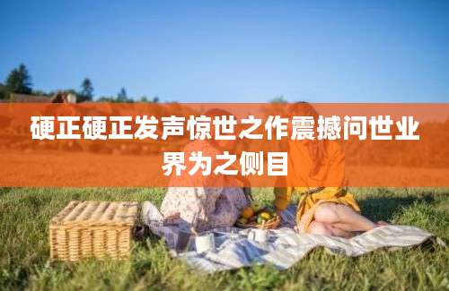 硬正硬正发声惊世之作震撼问世业界为之侧目