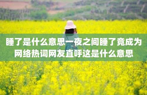 睡了是什么意思一夜之间睡了竟成为网络热词网友直呼这是什么意思