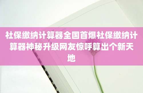 社保缴纳计算器全国首爆社保缴纳计算器神秘升级网友惊呼算出个新天地