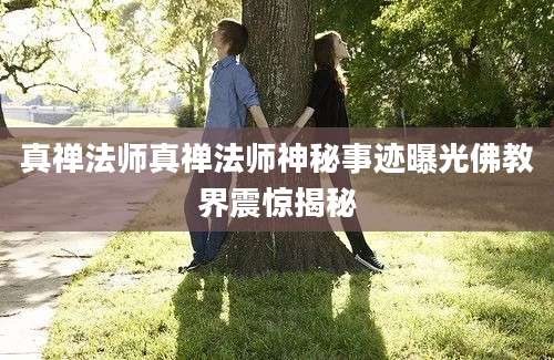 真禅法师真禅法师神秘事迹曝光佛教界震惊揭秘