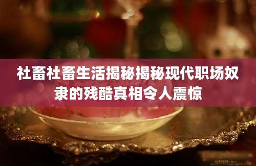 社畜社畜生活揭秘揭秘现代职场奴隶的残酷真相令人震惊