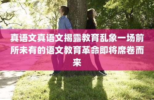 真语文真语文揭露教育乱象一场前所未有的语文教育革命即将席卷而来