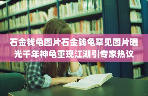 石金钱龟图片石金钱龟罕见图片曝光千年神龟重现江湖引专家热议