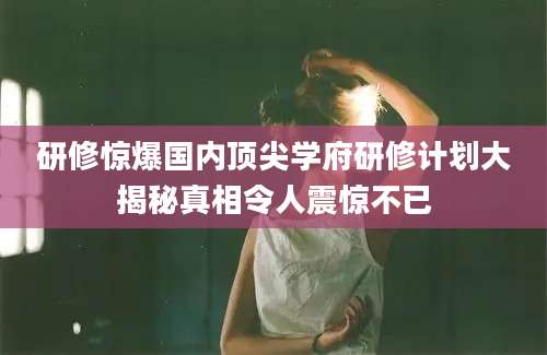 研修惊爆国内顶尖学府研修计划大揭秘真相令人震惊不已