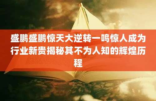 盛鹏盛鹏惊天大逆转一鸣惊人成为行业新贵揭秘其不为人知的辉煌历程