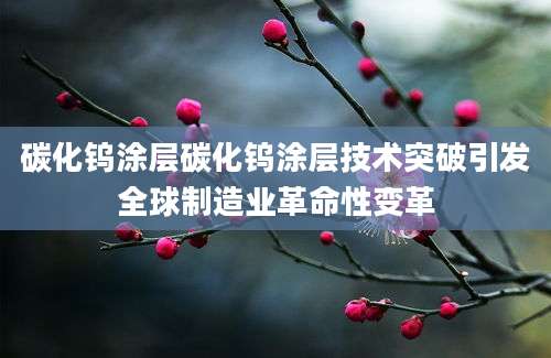 碳化钨涂层碳化钨涂层技术突破引发全球制造业革命性变革