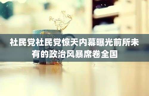 社民党社民党惊天内幕曝光前所未有的政治风暴席卷全国