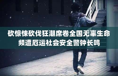 砍惊悚砍伐狂潮席卷全国无辜生命频遭厄运社会安全警钟长鸣