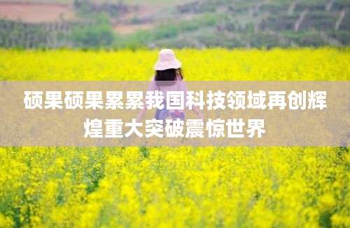 硕果硕果累累我国科技领域再创辉煌重大突破震惊世界