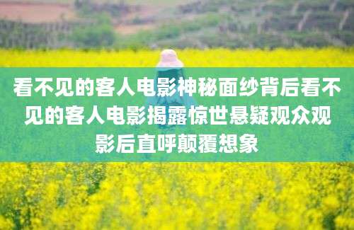 看不见的客人电影神秘面纱背后看不见的客人电影揭露惊世悬疑观众观影后直呼颠覆想象