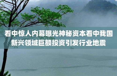 看中惊人内幕曝光神秘资本看中我国新兴领域巨额投资引发行业地震