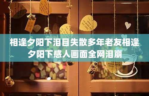 相逢夕阳下泪目失散多年老友相逢夕阳下感人画面全网泪崩