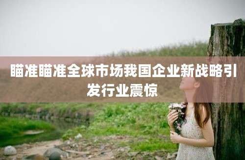 瞄准瞄准全球市场我国企业新战略引发行业震惊