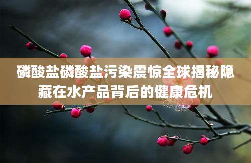 磷酸盐磷酸盐污染震惊全球揭秘隐藏在水产品背后的健康危机