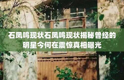 石凤鸣现状石凤鸣现状揭秘曾经的明星今何在震惊真相曝光