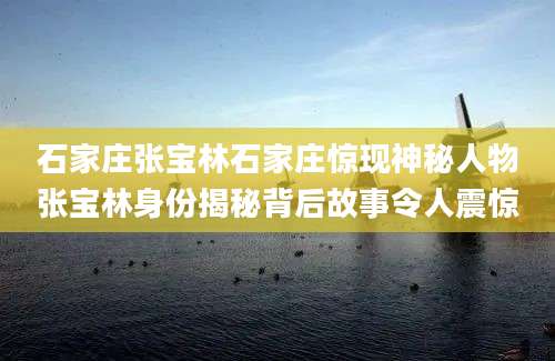 石家庄张宝林石家庄惊现神秘人物张宝林身份揭秘背后故事令人震惊