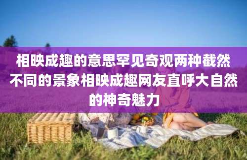 相映成趣的意思罕见奇观两种截然不同的景象相映成趣网友直呼大自然的神奇魅力