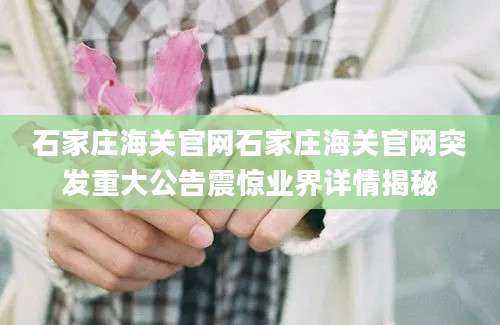 石家庄海关官网石家庄海关官网突发重大公告震惊业界详情揭秘