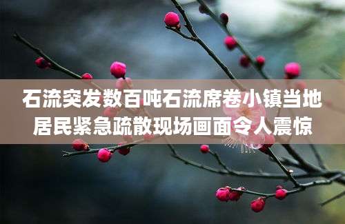石流突发数百吨石流席卷小镇当地居民紧急疏散现场画面令人震惊
