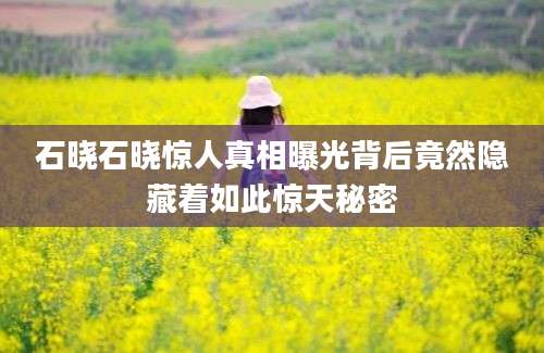 石晓石晓惊人真相曝光背后竟然隐藏着如此惊天秘密