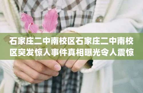 石家庄二中南校区石家庄二中南校区突发惊人事件真相曝光令人震惊