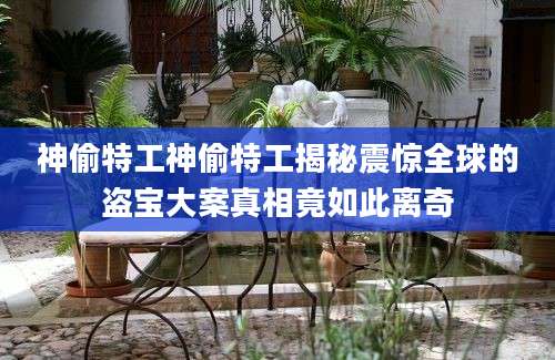 神偷特工神偷特工揭秘震惊全球的盗宝大案真相竟如此离奇