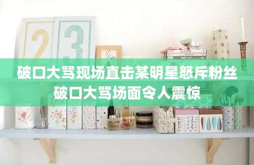破口大骂现场直击某明星怒斥粉丝破口大骂场面令人震惊