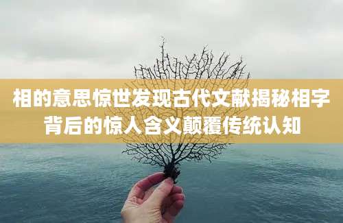 相的意思惊世发现古代文献揭秘相字背后的惊人含义颠覆传统认知