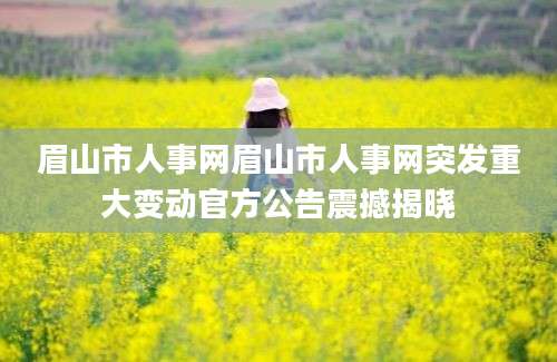 眉山市人事网眉山市人事网突发重大变动官方公告震撼揭晓