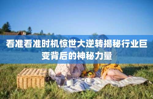 看准看准时机惊世大逆转揭秘行业巨变背后的神秘力量