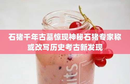 石猪千年古墓惊现神秘石猪专家称或改写历史考古新发现