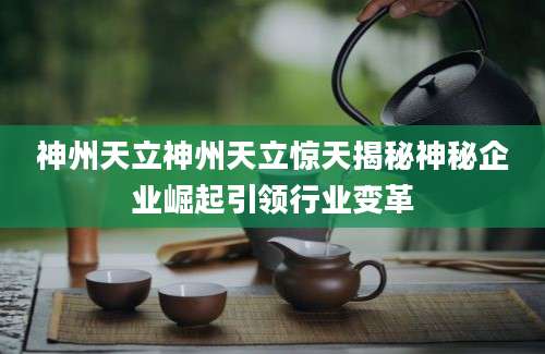 神州天立神州天立惊天揭秘神秘企业崛起引领行业变革