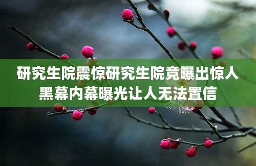 研究生院震惊研究生院竟曝出惊人黑幕内幕曝光让人无法置信