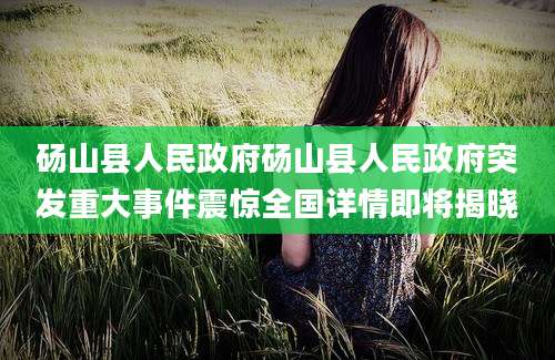 砀山县人民政府砀山县人民政府突发重大事件震惊全国详情即将揭晓