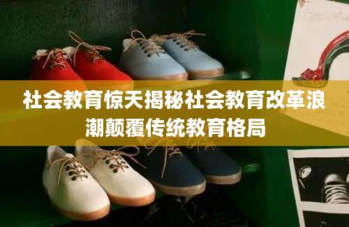 社会教育惊天揭秘社会教育改革浪潮颠覆传统教育格局