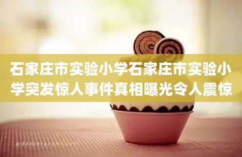 石家庄市实验小学石家庄市实验小学突发惊人事件真相曝光令人震惊