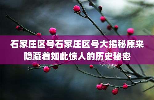 石家庄区号石家庄区号大揭秘原来隐藏着如此惊人的历史秘密